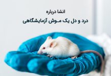 انشا در مورد درد و دل یک موش آزمایشگاهی