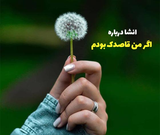انشا درباره اگر من قاصدک بودم برای نوجوانان (فوق العاده قشنگ و احساسی)